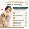 การดูแลสุนัขและแมวสำหรับเจ้าของมือใหม่ เริ่มต้นอย่างไรให้สัตว์เลี้ยงสุขภาพดี? การดูแลสุนัขและแมวสำหรับเจ้าของมือใหม่ เริ่มต้นอย่างไรให้สัตว์เลี้ยงสุขภาพดี?