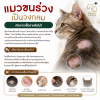 แมวขนร่วงเป็นวง เกิดจากเชื้อราหรือไม่?