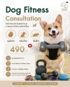 Pet Fitness Consultation โปรแกรมประเมินสุขภาพ & การออกกำลังกายสัตว์เลี้ยง