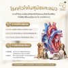 โรคหัวใจในสุนัขแมว