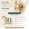 โรงแรมแมว รังสิต, ฝากแมว รังสิต, รับฝากแมว ปทุมธานี, Cat Hotel Rangsit, โรงแรมแมว ใกล้กรุงเทพ, รับฝากแมวโดยสัตวแพทย์, โรงแรมสุนัข รังสิต, ฝากสุนัข รังสิต, รับฝากสุนัข ปทุมธานี, Dog Hotel Rangsit, โรงแรมสัตว์เลี้ยง รังสิต, รับฝากสุนัขโดยสัตวแพทย์, โรงแรมสั