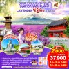 ทัวร์ญี่ปุ่น โตเกียว ฟูจิ ลาเวนเดอร์ 6 วัน 3 คืน บินการบินไทย (TG)