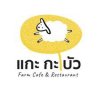 แกะ กะ บัว
