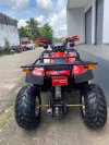 PANDA BIKE - ATV 200cc