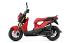 Zoomer X