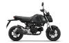 New Honda GROM