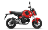 New Honda GROM