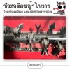 หัวรถตัดหญ้าใบวาย