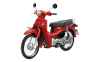 All New Super Cub