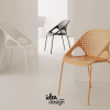 Ant plastic chair