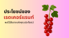 red currant, เรดเคอร์แรนท์ red currant, เรดเคอร์แรนท์