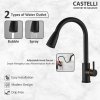 Keran Dapur Castelli Kran Tarik Luxurious Single Handle Pull Out - 1186553