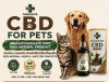 THAIKANYA CBD For Pets: Premium Natural Wellness Care for Dogs &amp; Cats