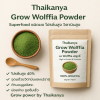 زراعة مسحوق وولفيا | THAIKANYA