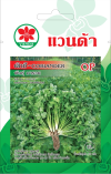 ผักชี พันธุ์มารวย CORIANDER OP