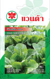 ผักสลัด คอส COS LETTUCE