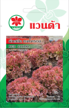 ผักสลัด เรดโครอล RED CORAL