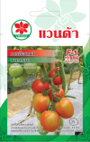 มะเขือเทศ TOMATO F1-HYBRID