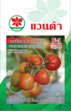 มะเขือเทศ พันธุ์ Kinmikock SS-555 TOMATO F1-HYBRID