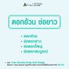 ดอกอ้วน ช่อยาว