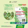 บิสไพริแบกโซเดียม เบนซัลฟูรอน-เมทิล