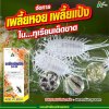 จัดการเพลี้ยแป้ง หายขาด ด้วยอะซิทามิพริด สูตรผสมสารพิเศษ เข้มข้น ใช้น้อย ออกฤทธิ์เร็ว แรง คุมนาน 14 วัน 