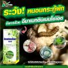 อีมาเมกตินเบนโซเอต จัดการหนอนกระทู้ ล้างบางหนอนดื้อยาทุกชนิด หนอนกระทู้ข้าวโพดลายจุด หนอนกระทู้หอม หนอนใยผัก ตายเรียบ เพิ่มผลผลิต 