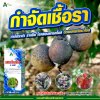 ระวังเชื้อราระบาด สร้างความเสียหาย กำจัดเชื้อรา หายขาด ตายเรียบ ด้วยเฮกซะโคนาโซล ขวดเดียว จบทุกปัญหาโรคพืช
