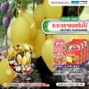 ระยะขยายผลจัมโบ้