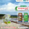 ระยะคุมเลน-คุมฆ่า