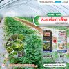 ระยะเร่งเถาเลื้อย