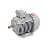 Electric Motor MET-T