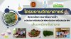 ประชาสัมพันธ์ โครงงานวิทยาศาสตร์อาชีวศึกษา ประจำปีพุทธศักราช 2568 ระดับประกาศนียบัตรวิชาชีพ (ปวช.) เรื่อง เส้นบะหมี่จากใบย่านาง ประชาสัมพันธ์ โครงงานวิทยาศาสตร์อาชีวศึกษา ประจำปีพุทธศักราช 2568 ระดับประกาศนียบัตรวิชาชีพ (ปวช.) เรื่อง เส้นบะหมี่จากใบย่านาง
