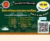 แจ้งปฏิทินงานวัดผลและประเมินผล  วันที่ 16 - 20 กันยายน 2567 สอบปลายภาคเรียนที่ 1 ปีการศึกษา 2567  วันที่ 30 กันยายน 2567 ประกาศผลการเรียน  วันที่ 30 กันยายน - 2 ตุลาคม 2567 ลงทะเบียนแก้ มส.