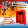 ตู้เก็บถังดับเพลิง (ถังคู่) 60x70x20ซม.Fire Max