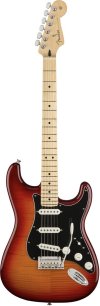 PLAYER STRATOCASTER® PLUS TOP