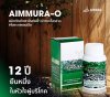 AIMMURA O