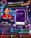 บริการรับติดตั้งกล้องวงจรปิดทั่วประเทศ เลือกใช้ฮาร์ดดิสก์ WD Purple โดยช่างกล้องวงจรปิดมืออาชีพ บริษัท ไอที บิซิเนส พลัส จำกัด บริการรับติดตั้งกล้องวงจรปิดทั่วประเทศ เลือกใช้ฮาร์ดดิสก์ WD Purple โดยช่างกล้องวงจรปิดมืออาชีพ บริษัท ไอที บิซิเนส พลัส จำกัด