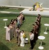  Dream Wedding Hotel or Riverside Venue?