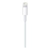 Apple Lightning to USB Cable (1m) สาย Lightning ความยาว 1 เมตร สำหรับใช้ชาร์จและ Sync โอนถ่ายข้อมูลกับ iPhone, iPad