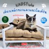 KADStudio แถมฟรี ! เบาะนอนนุ่ม ที่นอนแมวแบบเหล็กโมเดิร์น กันสนิม มีแผ่นไม้แท้ กันน้ำ กันรอย กันเชขื้อรา