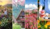 Hokkaido Flower Park Khaoyai ที่เที่ยวเขาใหญ่ Flow Outing รับจัด Outing บริษัท รับจัดสัมมนา รับจัดท่องเที่ยวประจำปี
