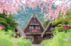 Hokkaido Flower Park Khaoyai ที่เที่ยวเขาใหญ่ Flow Outing รับจัด Outing บริษัท รับจัดสัมมนา รับจัดท่องเที่ยวประจำปี