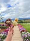 K Hmong Alpaca Khao Yai ที่เที่ยวเขาใหญ่ Flow Outing รับจัด Outing บริษัท รับจัดสัมมนา รับจัดท่องเที่ยวประจำปี