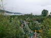 Khao Yai Art Tree ที่เที่ยวเขาใหญ่ Flow Outing รับจัด Outing บริษัท รับจัดสัมมนา รับจัดท่องเที่ยวประจำปี
