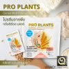 โปรตีน Pro Plants Cereal Malt