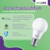 ECOLINK หลอดไฟ LED Bulb 13W 6500K ขั้วE27 หลอดประหยัดไฟ ประกัน 2 ปี