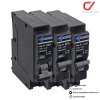 Anzens NS-IP 1P ลูกเซอร์กิตเบรกเกอร์ Plug In