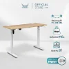 Kenshin2 Adjustable Desk