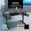UEDA Desk